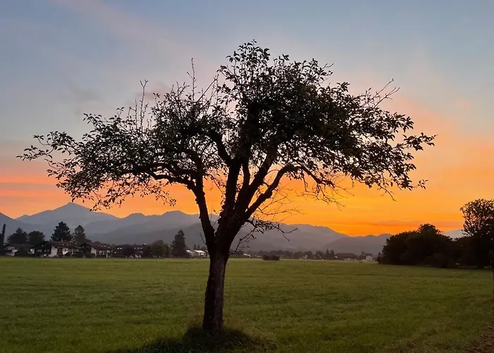 Kranzhornblick - Alpenmagie