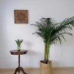 Apartment Kranzhornblick - Alpenmagie