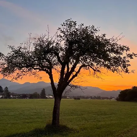 Kranzhornblick - Alpenmagie