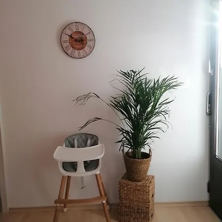 Apartment Kranzhornblick - Alpenmagie Oberaudorf