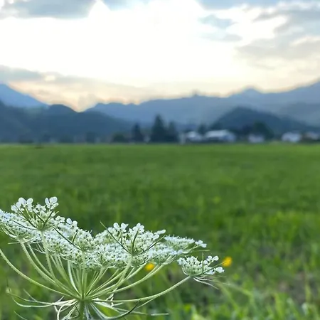 Kranzhornblick - Alpenmagie Appartement Oberaudorf