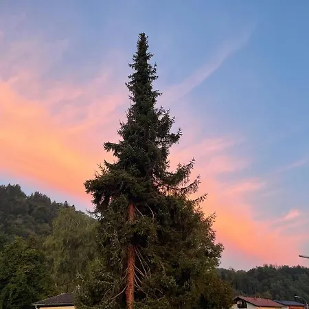 Kranzhornblick - Alpenmagie