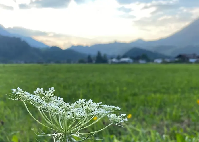 Kranzhornblick - Alpenmagie Апартаменты Обераудорф